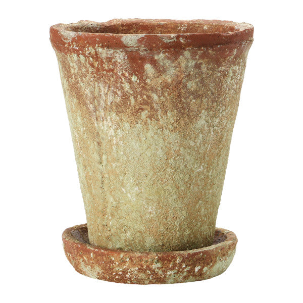 A round terracotta cement planter with a distressed finish and a saucer.